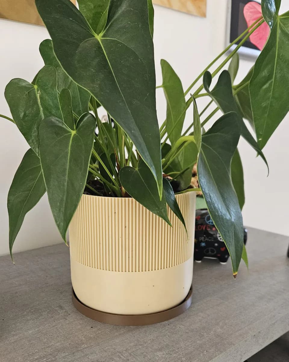 Cache-pot crème à partie supérieure striée imprimé en 3D